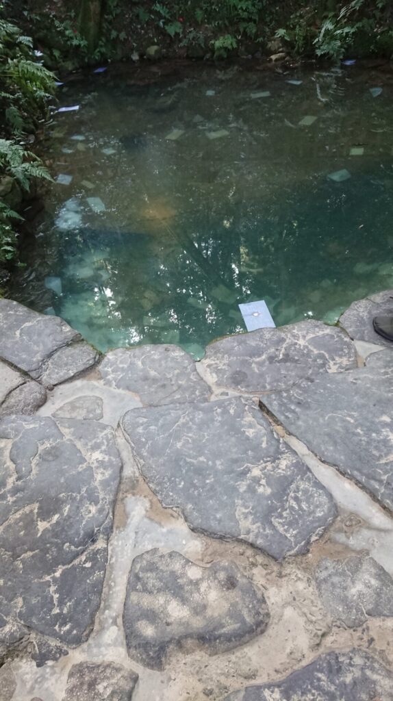 八重垣神社鏡の池占い