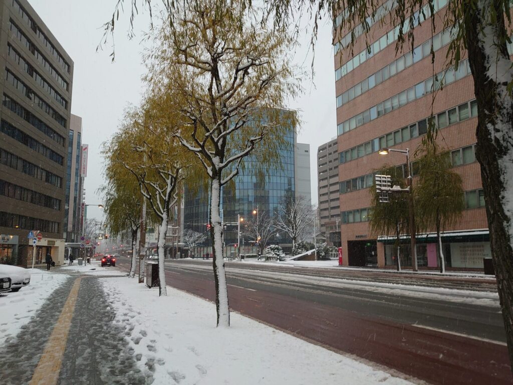 雪の新潟市